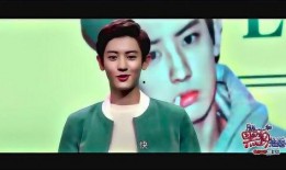 娱乐圈爆料官小说,揭秘明星背后的秘密风云